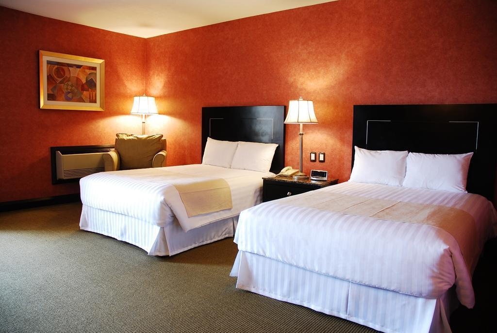 Royal Garden Reynosa Hotel ห้อง รูปภาพ